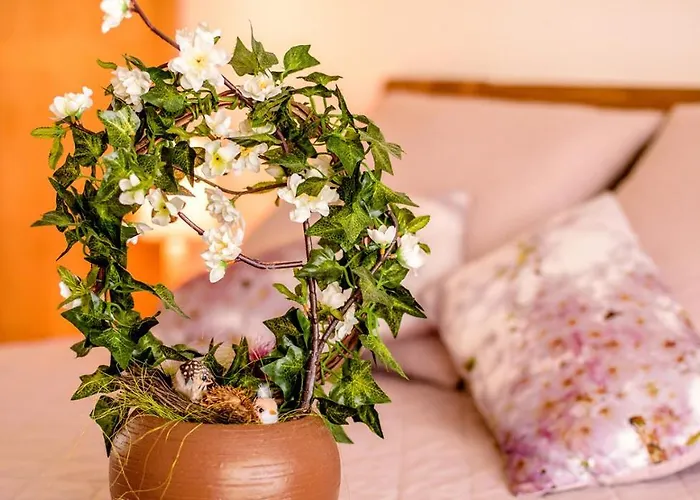 Parrot's House Διαμέρισμα