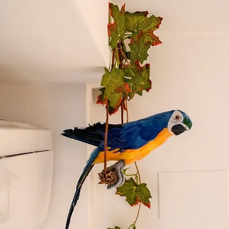 Parrot's House * Lloret de Mar