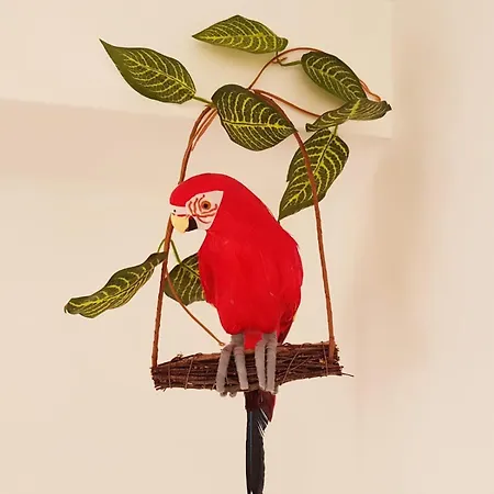 Apartment Parrot's House