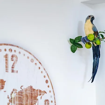 Parrot's House Lloret de Mar