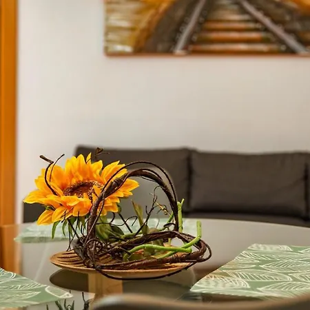 Parrot's House * Lloret de Mar