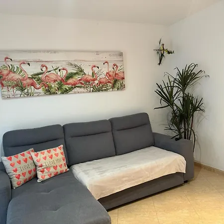 Parrot's House Apartment