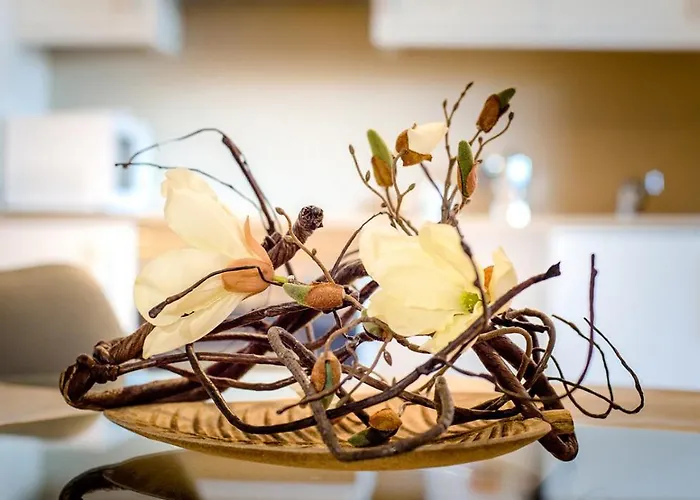 Parrot's House Apartament *