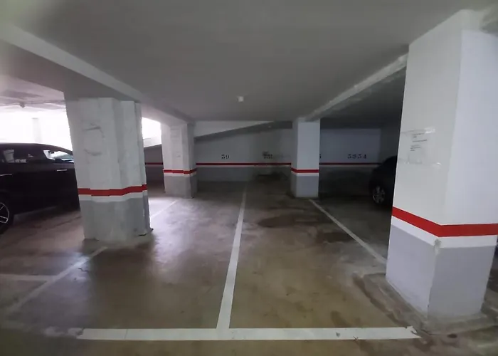 Parrot's House يوريت دي مار