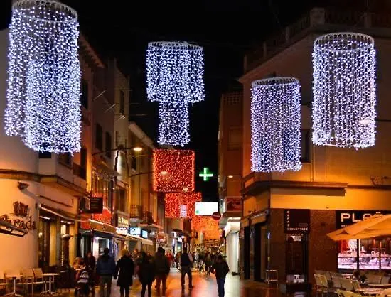 Parrot's House * يوريت دي مار