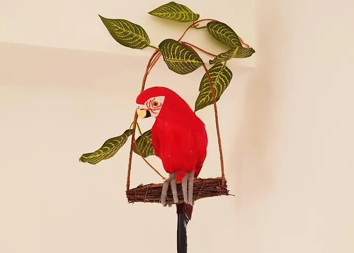 شقة Parrot's House