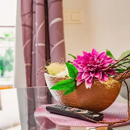 Apartament Parrot's House