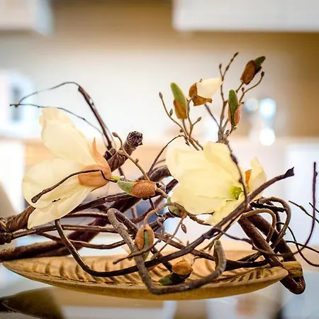 Parrot's House Apartamento *