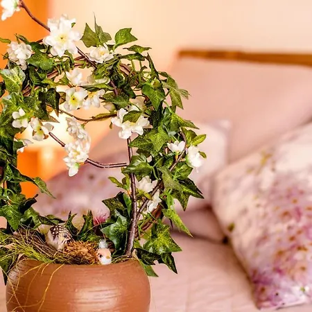 Parrot's House Apartamento